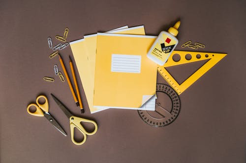 Craft or White Glue