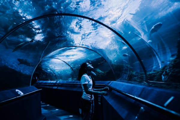 Further Plans for Underwater Railways