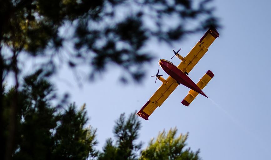 Other Examples of Large Model RC Airplanes