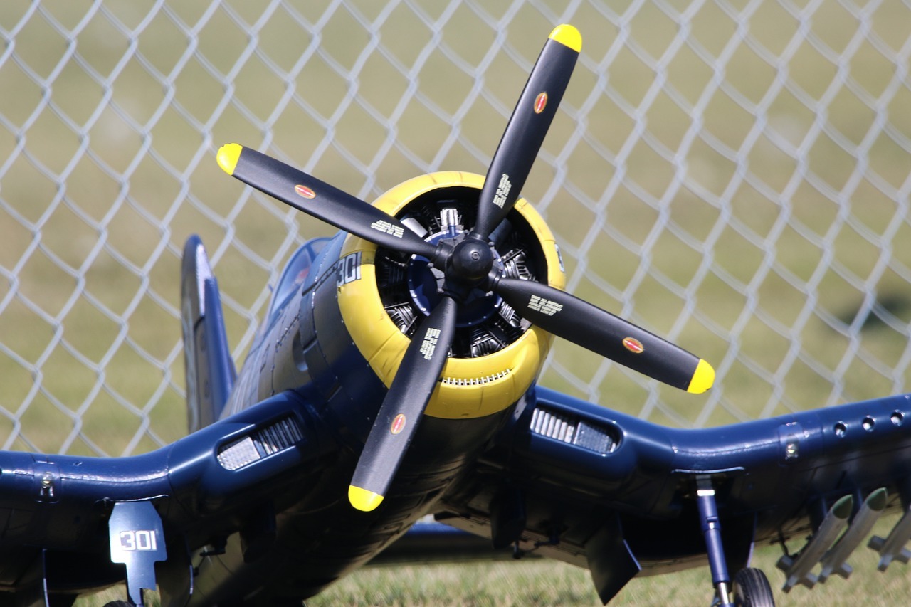 RC Warbird