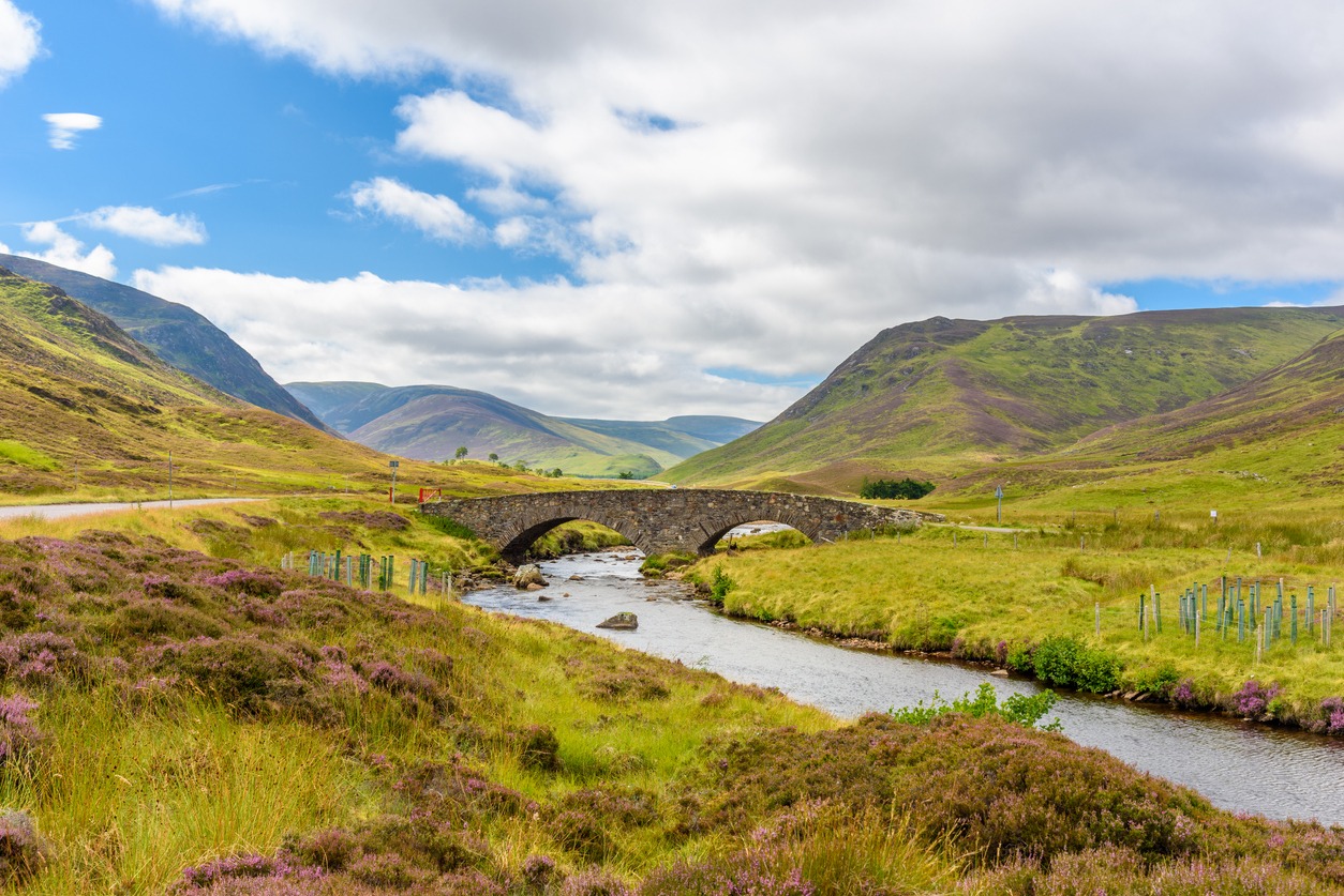View of the beautiful nature of the Cairngorms National Park in Scotland in summer