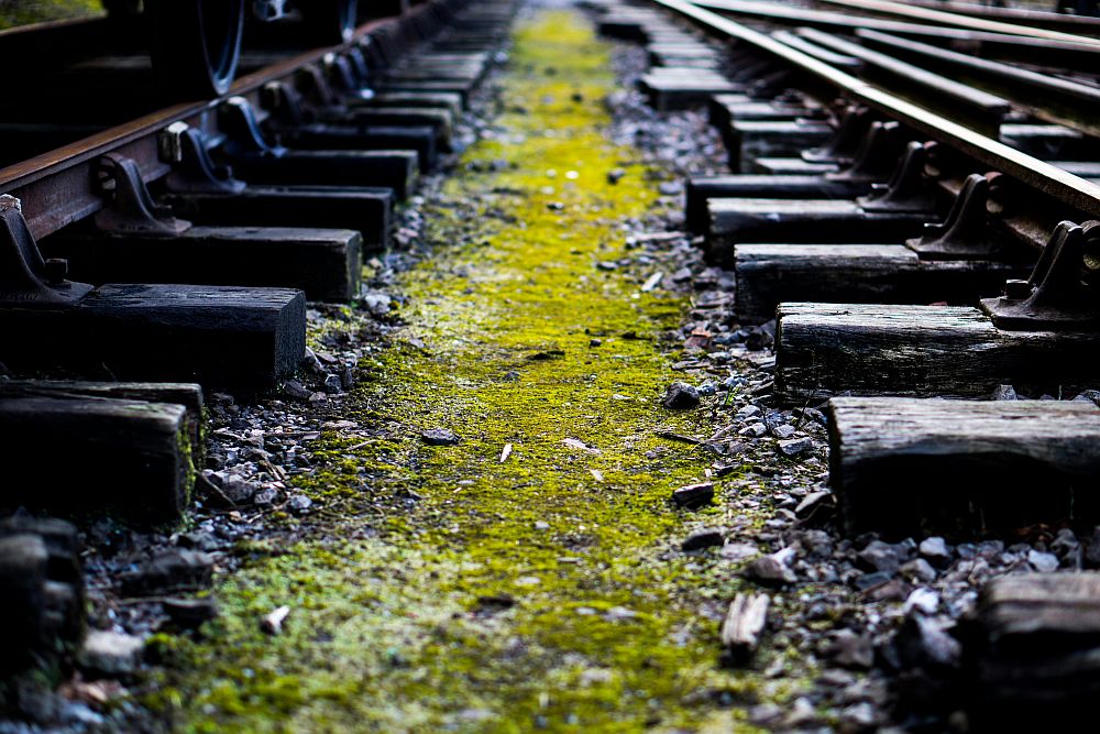 How to plan and book a journey on Rovos Rail