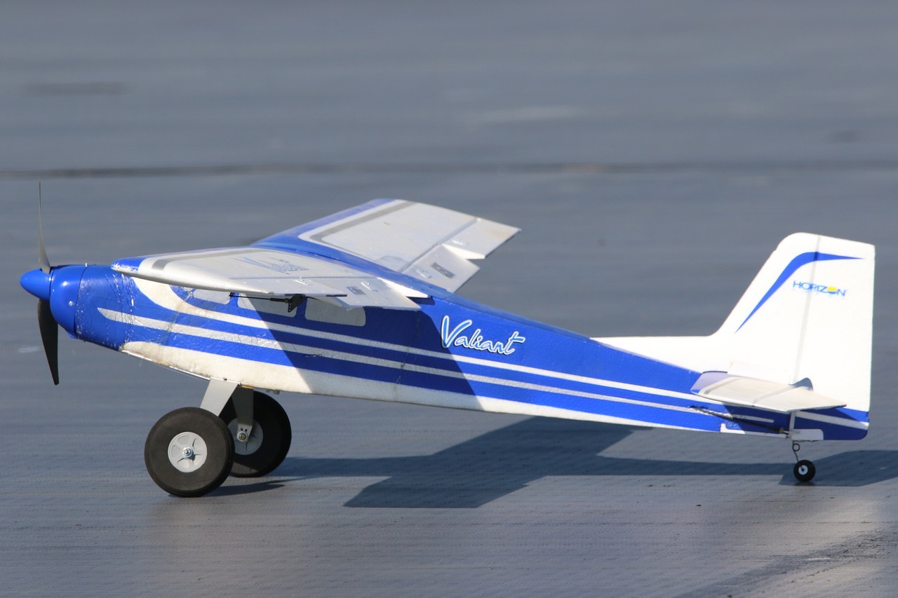 blue and white RC plane