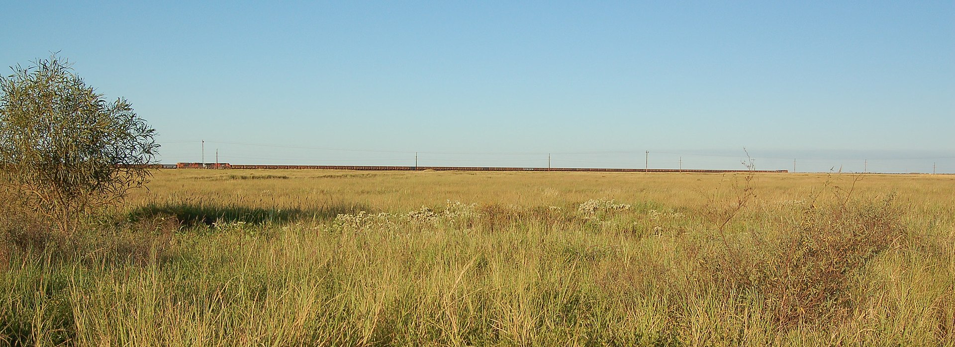 A BHP Billiton Iron Ore train